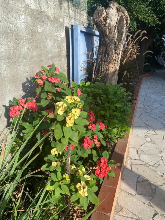 Au Pipiri Leve Daire Schoelcher Dış mekan fotoğraf